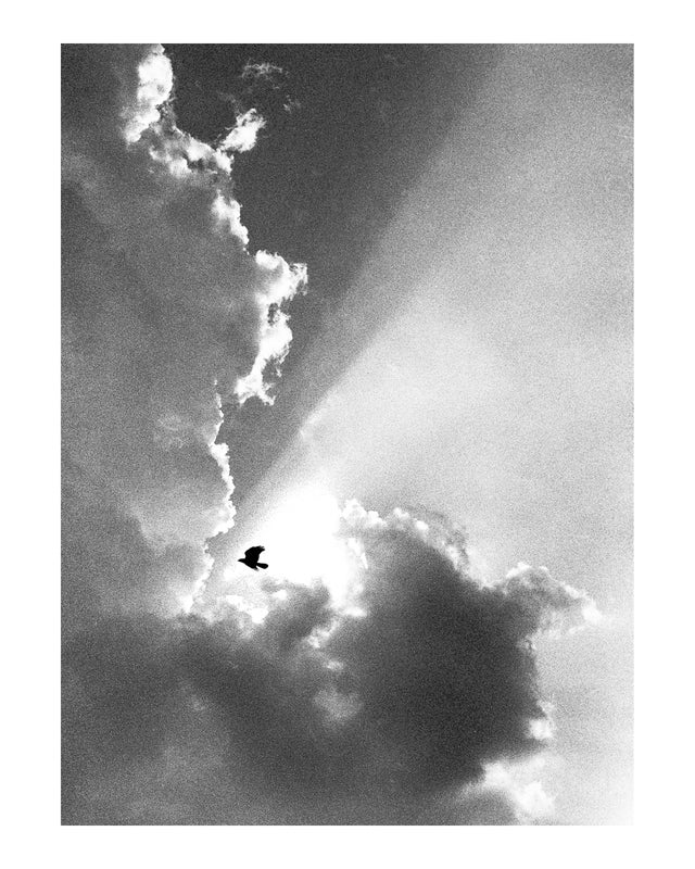 Take These Broken Wings and Learn to Fly